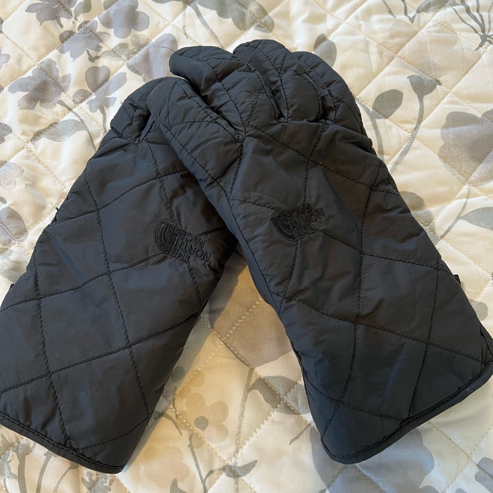 The North Face Gloves